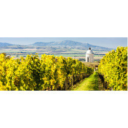 Južná Morava a Moravský kras