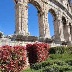 Parenzana Marec podpora autobusu, Istria, Vrsar, Hotel Belvedere****, 