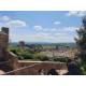 Toskánsko 9.5-16.5.2027, cyklo, Marina di Bibbona, 770Eur, Bolgheri, Volterra, Massa Maritima,hotel**** na pláži  