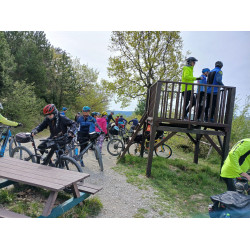 Parenzana April podpora autobusu, Istria, Vrsar, Hotel Pineta****, 