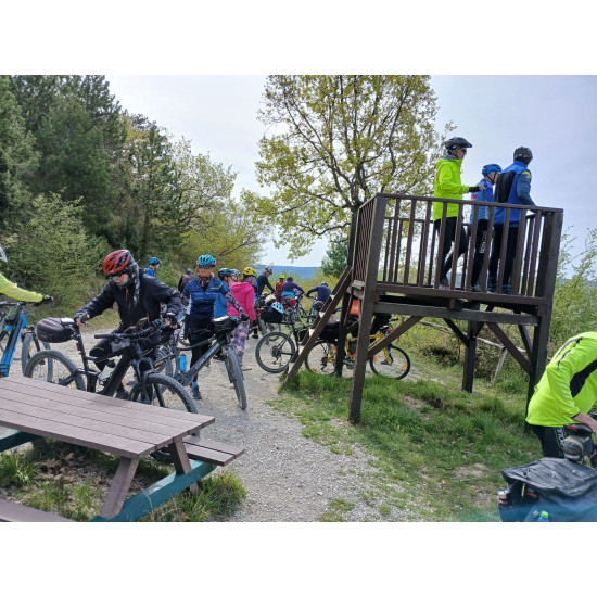 Parenzana Marec podpora autobusu, Istria, Vrsar, Hotel Pineta****, 